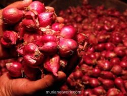 Harga Cabai dan Bawang Meroket, Pasar Pangan Panas di Akhir Pekan