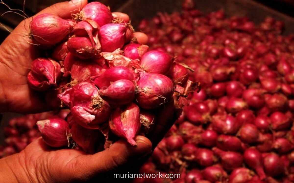 Harga Cabai dan Bawang Meroket, Pasar Pangan Panas di Akhir Pekan