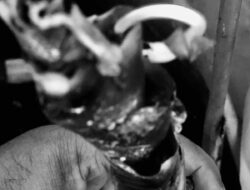 Antara Janji dan Realita: Refleksi Akhir Tahun yang Tak Sampai ke Warga