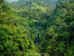 Lampung Siaga, Pembukaan Lahan Baru Ancam Hutan Lindung