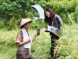 Optimisme UMKM Melonjak, Meski Tekanan Laba Masih Mengintai