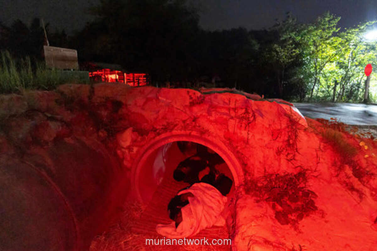 Gencatan Senjata Retak, Tembakan Kembali Meneror Perbatasan Thailand-Kamboja