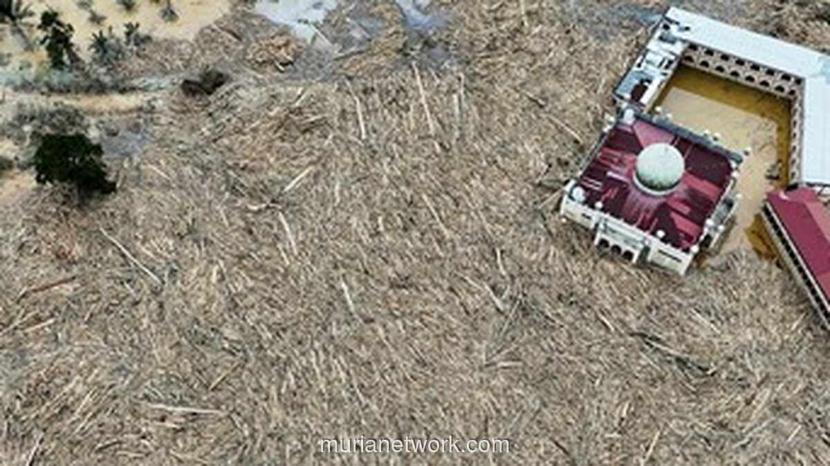 Gelombang Hitam dan 900 Nyawa: Kisah Pilu di Balik Banjir Bandang Sumatra