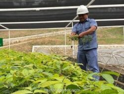 Banjir Bandang Sumut: Saat Alam Mengingatkan Kembali Kearifan Tano Ni Ompung