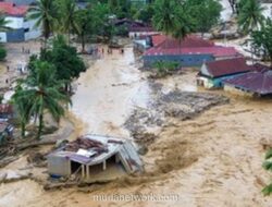 Korban Tewas Banjir Bandang Sumatera Tembus 442 Jiwa, Ratusan Masih Hilang