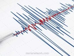 Gempa 5 Magnitudo Guncang Nias Selatan, Getaran Terasa hingga Sibolga