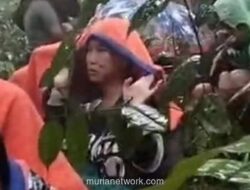 Dua Hari di Hutan, Bertahan Hidup dengan Nangka Muda Sebesar Kelereng