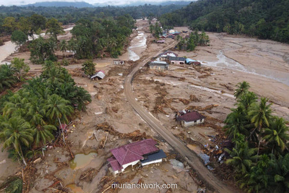 Batang Toru Runtuh: Banjir Bandang dan Longsor Telan Ratusan Jiwa di Sumut