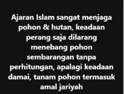Etika Perang Islam: Larangan Merusak Lingkungan dari Masa Rasulullah hingga Khalifah Abu Bakar