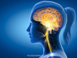 Mitos Multitasking Perempuan: Ketika Stereotip Dianggap Fakta Ilmiah