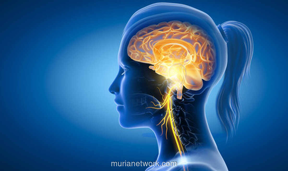 Mitos Multitasking Perempuan: Ketika Stereotip Dianggap Fakta Ilmiah