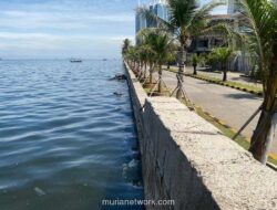 Tanggul Terakhir di Pantai Mutiara: Perlawanan Jakarta Menghadap Laut yang Mengganas