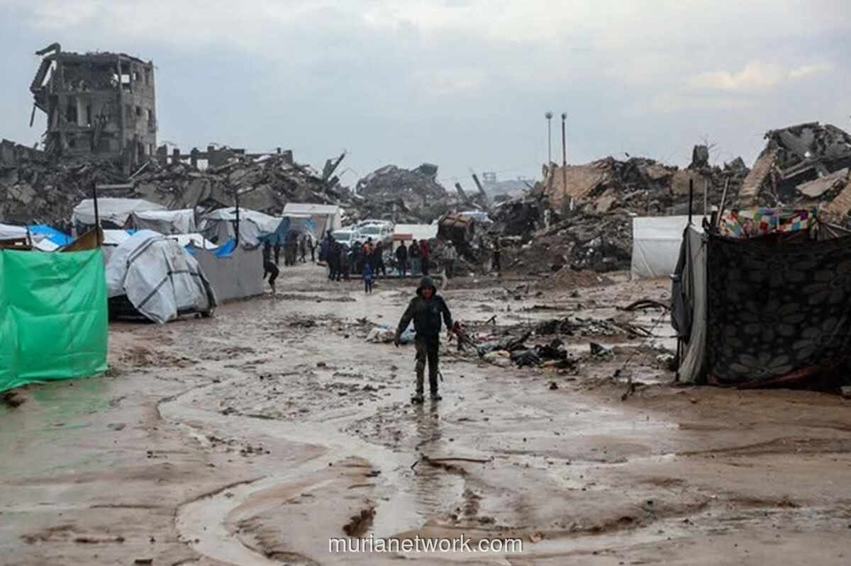 Dari Tenda Pengungsian ke Panel Surya: Kisah Seorang Mahasiswi Gaza yang Bertahan dengan Mengisi Daya Ponsel