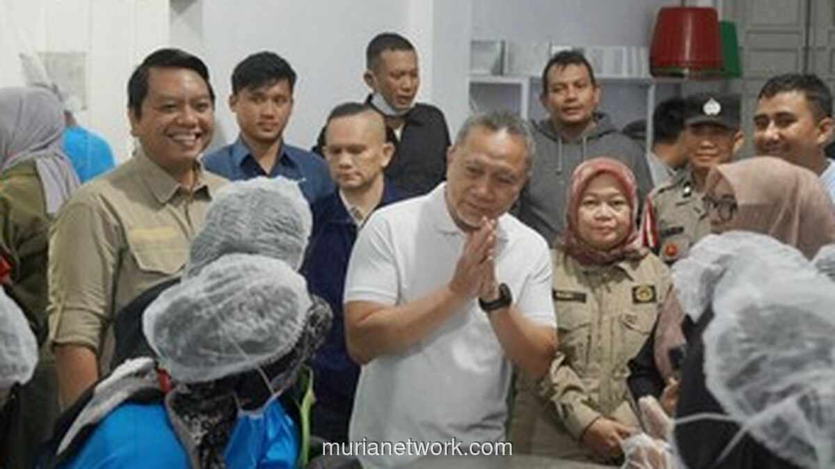 Zulhas Tinjau Sawah Hancur di Aceh, Petani Minta Bantuan Hidup dan Rehabilitasi Lahan