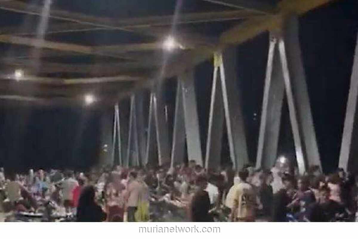 Dua Lumba-lumba Muncul di Sungai Rokan, Warga Heboh dan Ingat Mitos Banjir