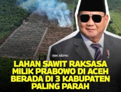 Bencana Aceh dan Lahan Pinus Milik Prabowo yang Kembali Disorot