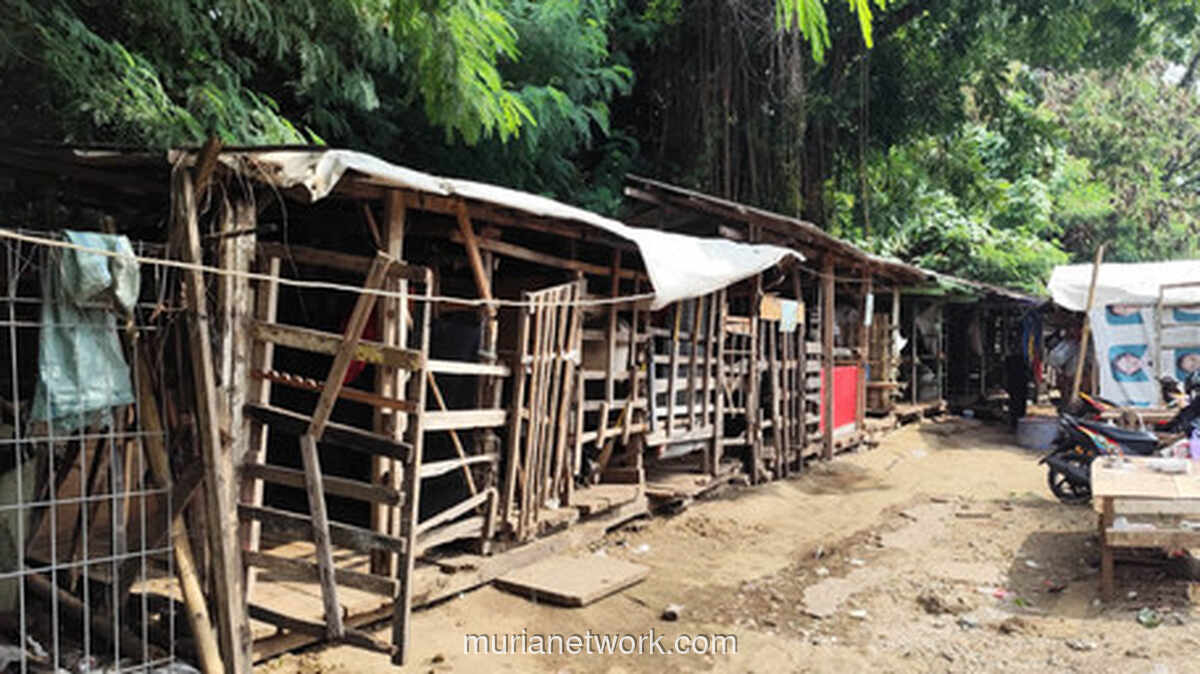 Kisah Para Kusir dan Kuda Pekerja di Kampung Delman Kemanggisan