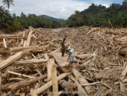 Titiek Soeharto Murka, Tunjukkan Video Truk Kayu Melintas Usai Bencana