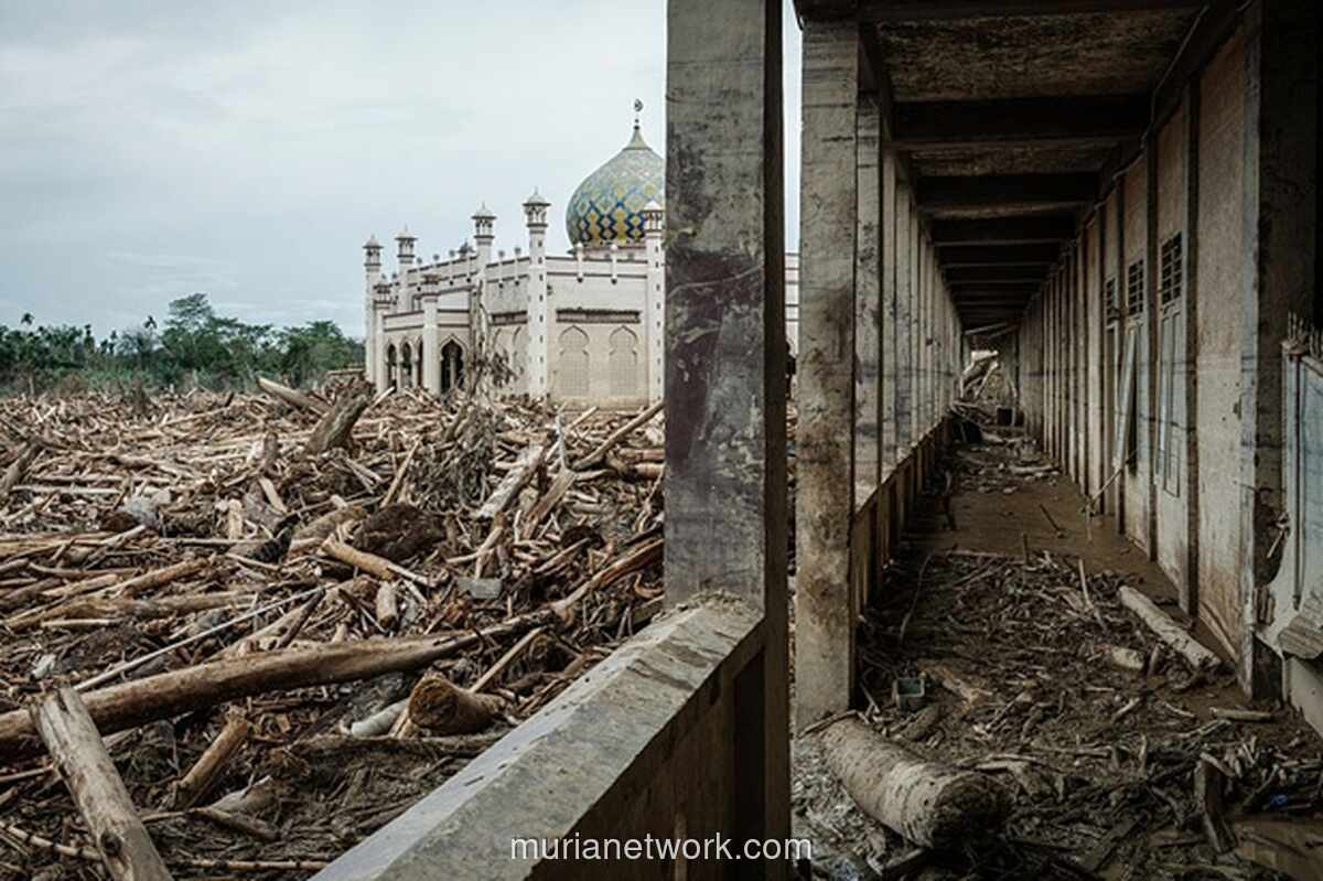 Bencana di Sumatera: Ketika Alam Murka Akibat Ulah Manusia