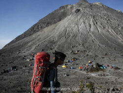 Dua Pendaki Sleman Hilang di Lereng Merapi, Pencarian Masih Digencarkan
