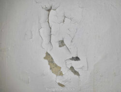 Hujan Datang, Rembes Mengintai: Lima Kesalahan yang Bikin Rumah Makin Basah