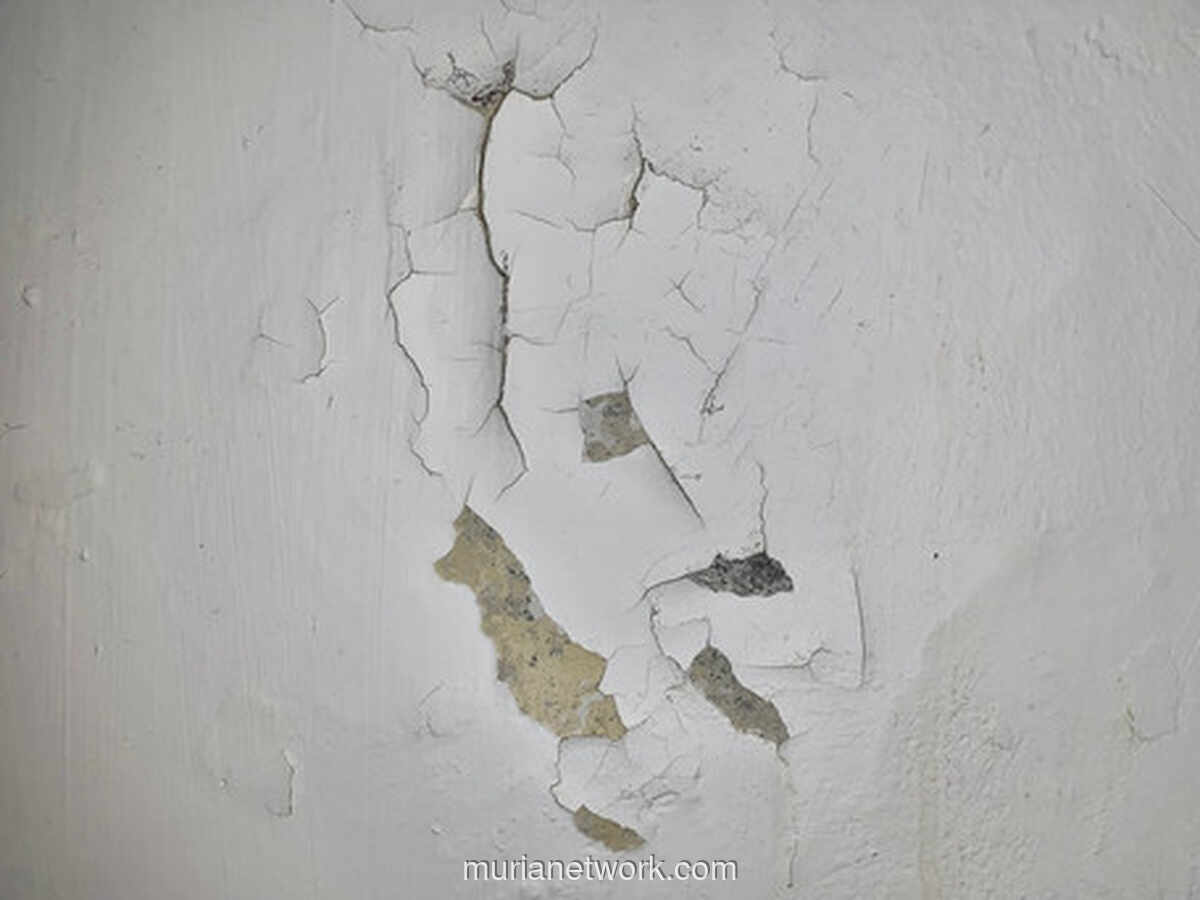 Hujan Datang, Rembes Mengintai: Lima Kesalahan yang Bikin Rumah Makin Basah