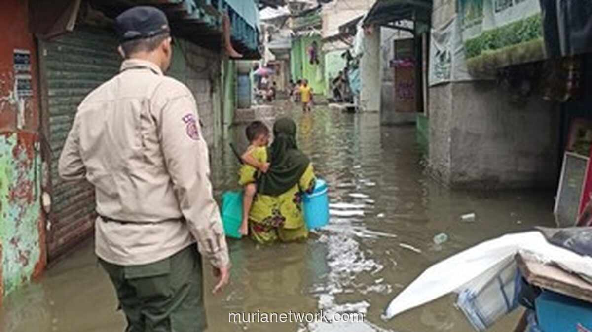 Banjir Rob Kembali Rendam Jakarta Utara dan Kepulauan Seribu