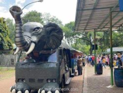 Ribuan Pengunjung Serbu Ragunan di Pagi Buta Libur Nataru