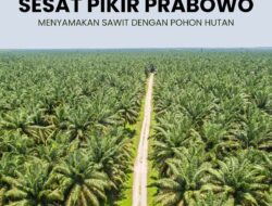 Bayang-bayang Sawit: Ketika Hutan Berganti, Rakyat Tetap Terjepit