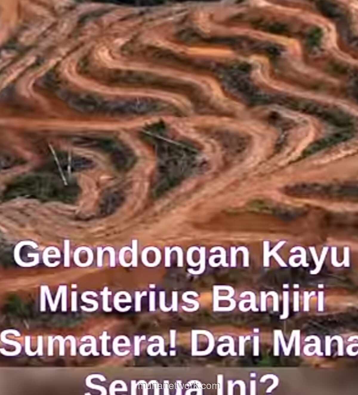 Sutoyo Abadi Tagih Janji Prabowo: Saatnya Presiden Mati Bersama Korban Banjir