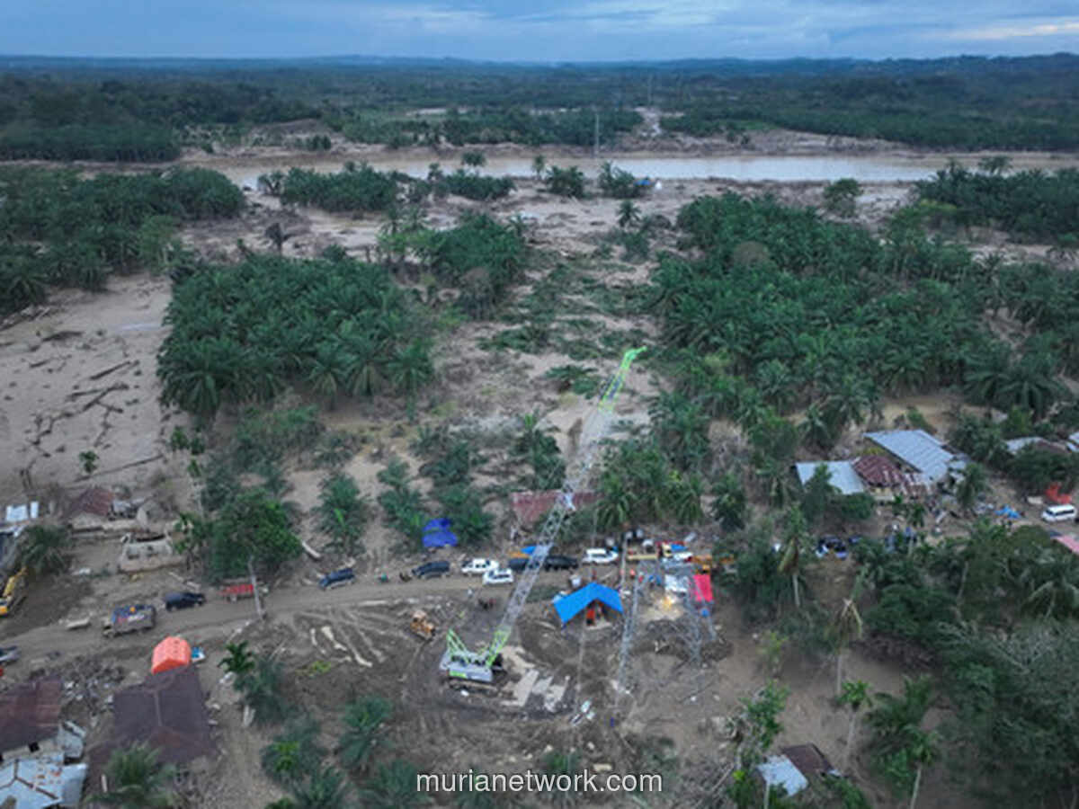 Crane Jadi Pahlawan Darurat, Listrik Sumatera-Aceh Kembali Mengalir