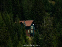 Di Balik Semak-Semak Spiderwick: Ketika Fantasi Menjadi Cermin Keluarga