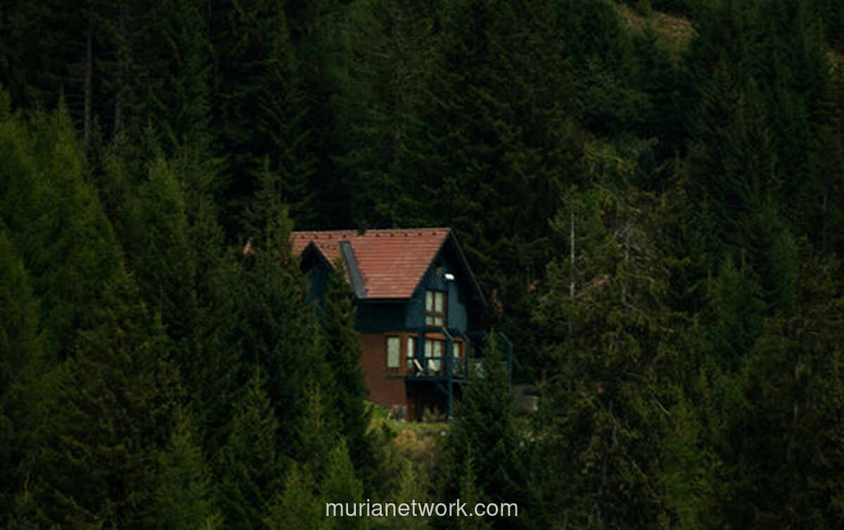 Di Balik Semak-Semak Spiderwick: Ketika Fantasi Menjadi Cermin Keluarga