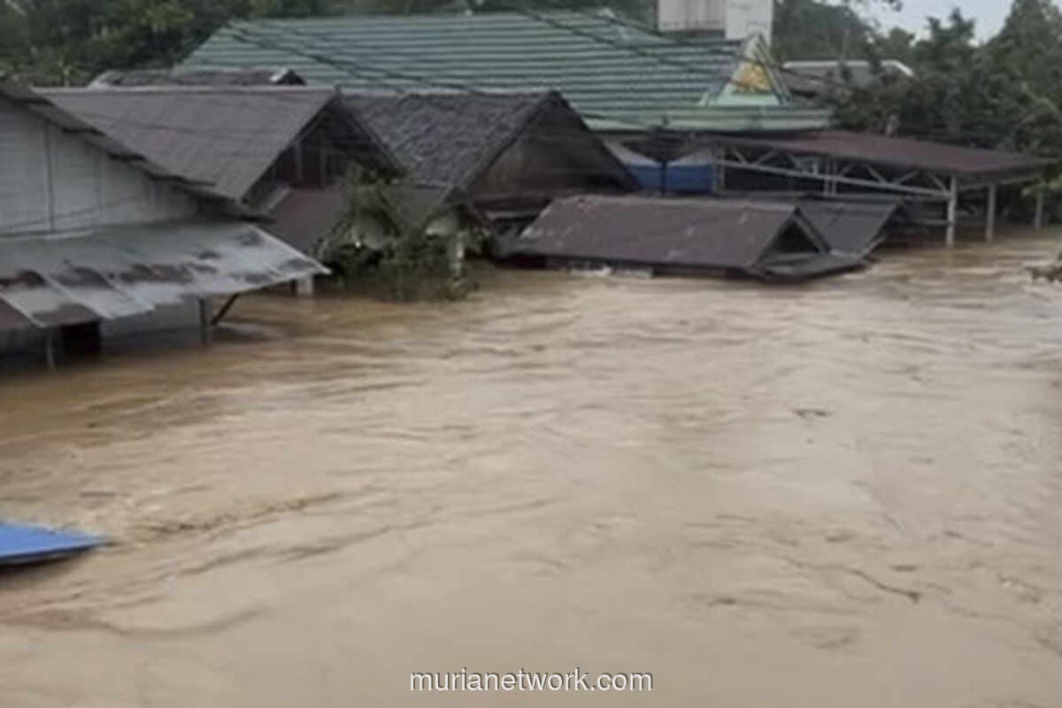Banjir Bandang Balangan: Air Setinggi Atap Rumah dan Ratusan Rumah Rusak