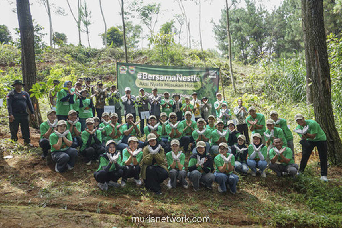 Nestlé Tanam Ribuan Pohon di Batang untuk Tangkal Longsor
