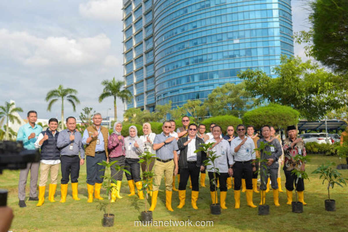 Bank Sumsel Babel Galakkan Gerakan Hijau, Satu Pegawai Tanam Satu Pohon