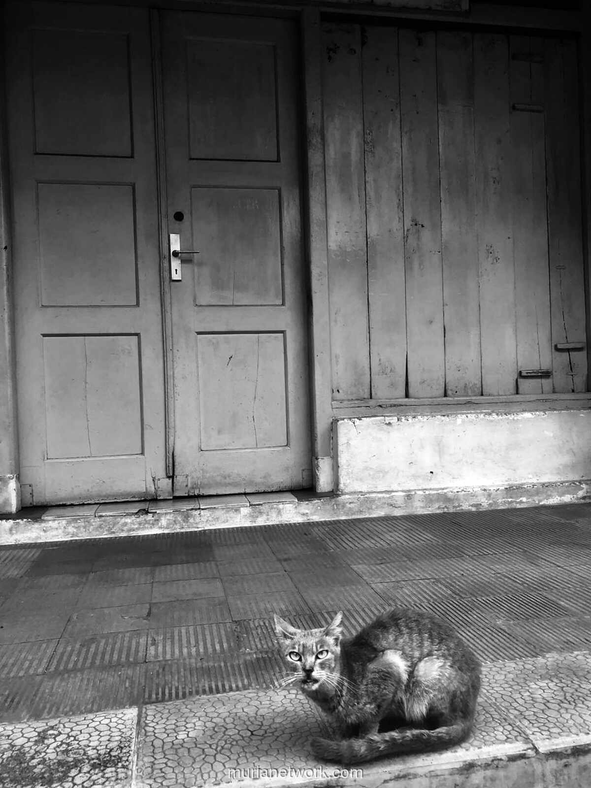 Kejujuran Tak Pernah Padam, Hati Pengkhianatlah yang Mati