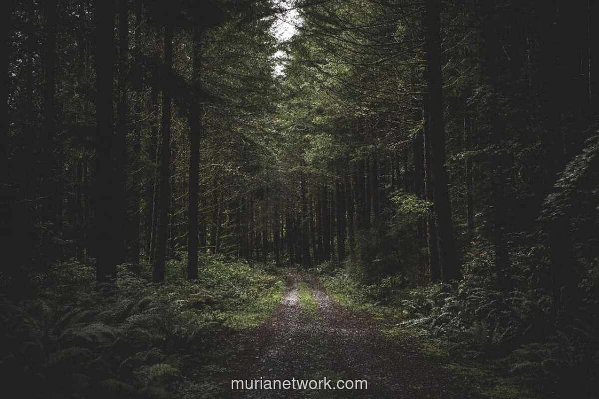 Menag Umar: Merusak Alam adalah Pengkhianatan terhadap Pesan Langit