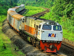 KAI Angkut 63,6 Juta Ton Barang, Batu Bara Dominasi Pasokan Energi