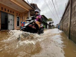 Gang Jeruju III Terendam, Air Pasang Tiba-tiba Menggenangi Pontianak