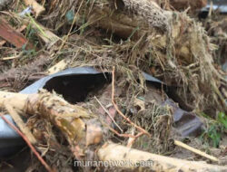 Banjir Bandang Sumatra: Kemenhut Bongkar Modus Pencucian Kayu Ilegal di Balik Tumpukan Gelondongan