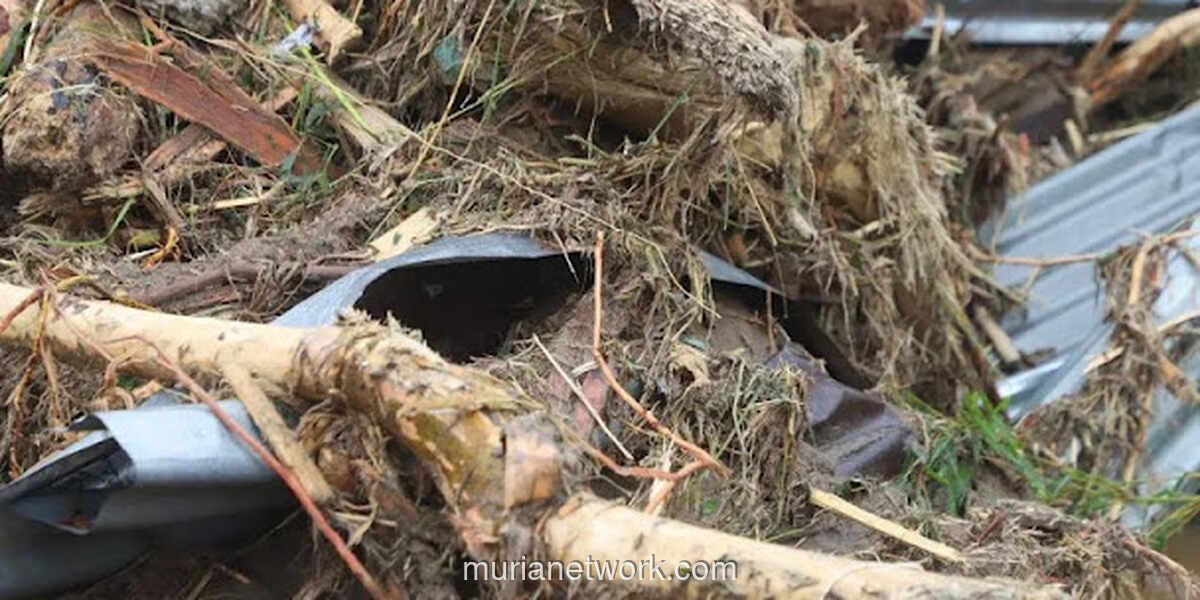 Banjir Bandang Sumatra: Kemenhut Bongkar Modus Pencucian Kayu Ilegal di Balik Tumpukan Gelondongan