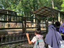 Ragunan Buka Lebih Awal Sambut Gelombang Pengunjung Nataru