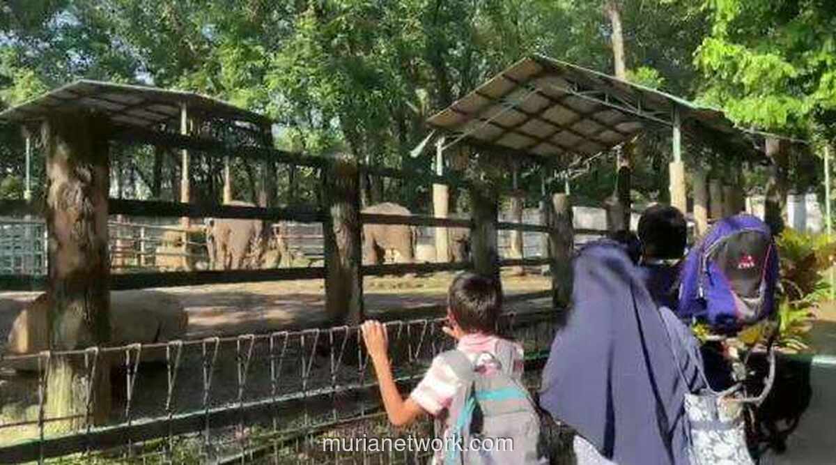 Ragunan Buka Lebih Awal Sambut Gelombang Pengunjung Nataru