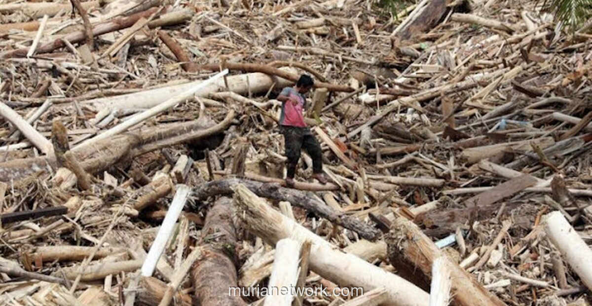 Pakar Soroti Akar Masalah Lingkungan Sumatera: Bukan Cuma Tanggung Jawab Pemerintah Sekarang