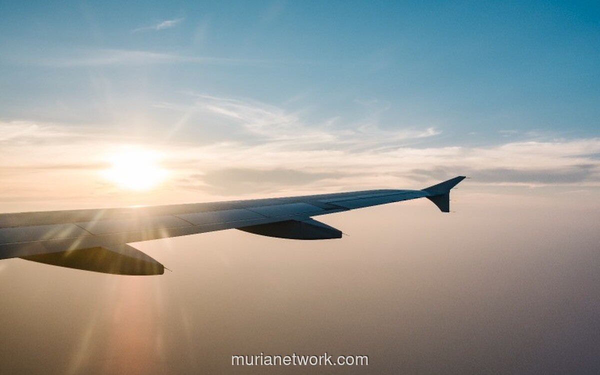 IATA Proyeksikan Laba Maskapai Global Tembus Rp 660 Triliun di Tengah Tantangan