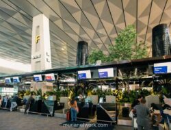 InJourney Genjot Transformasi Bandara, Fokus pada Kenyamanan Penumpang