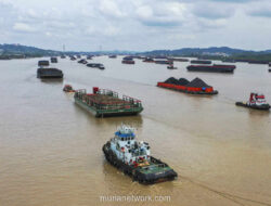 Batu Bara dan Nikel Melaju, Minyak Mentah Tersendat di Pasar Komoditas