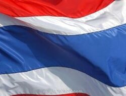 Gencatan Senjata Thailand-Kamboja Retak oleh 250 Drone