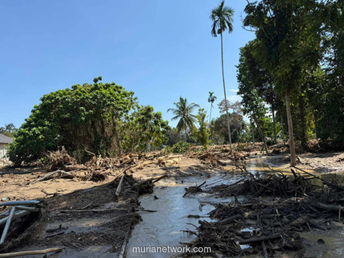 Di Balik Kabut Pidie Jaya: Jembatan Putus, BTS Mati, dan Perjuangan Pulihkan Komunikasi Pasca-Bencana